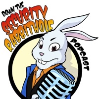 Down the Security Rabbithole cover art