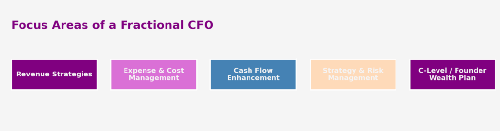 Infographic titled ‘Focus Areas of a Fractional CFO’ displaying five horizontal boxes Revenue Strategies, Expense & Cost Management, Cash Flow Enhancement, Strategy & Risk Management, and C-Level/Founder Wealth Plan.